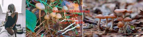 каннабис Навашино