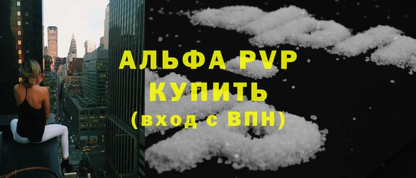 шишки Бердск