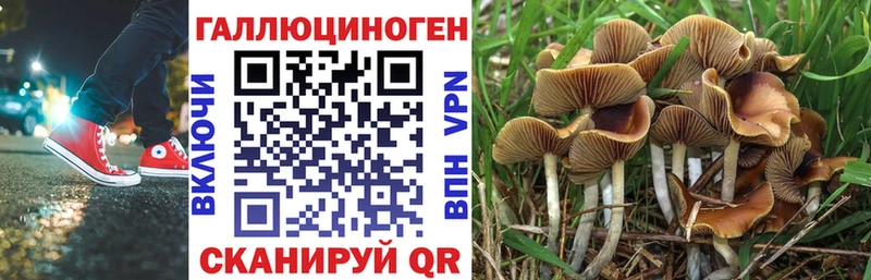 hydra онион  что такое наркотик  Касли  Галлюциногенные грибы GOLDEN TEACHER 