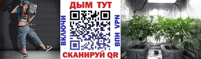 сколько стоит  Касли  нарко площадка наркотические препараты  Шишки марихуана Amnesia 